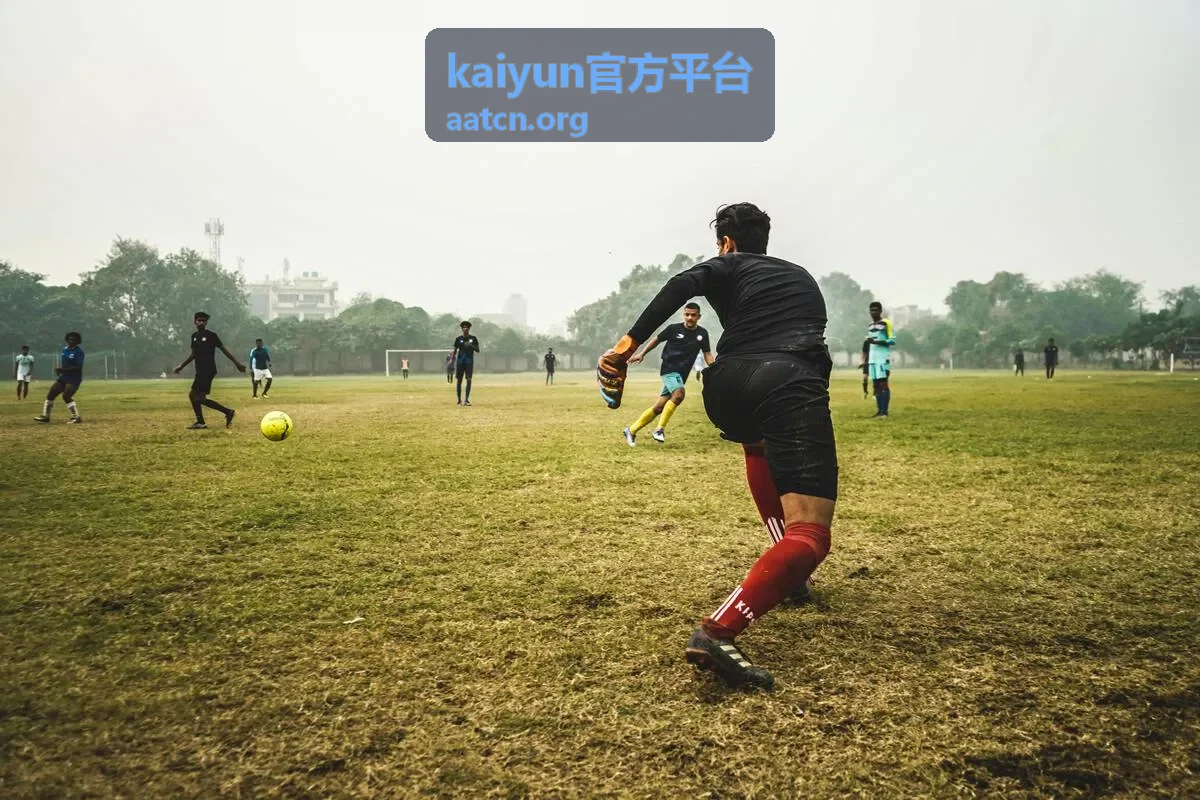 kaiyun官方平台赛事直播入口观看通道示意
