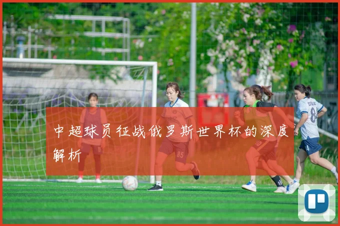 中超球员征战俄罗斯世界杯的深度解析