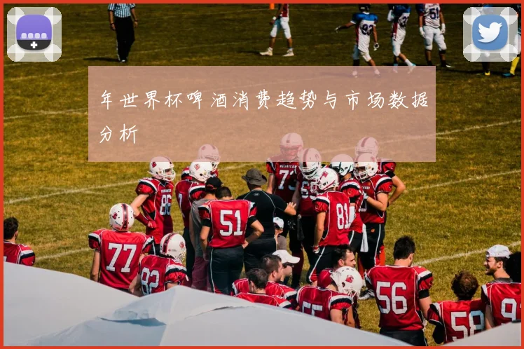 年世界杯啤酒消费趋势与市场数据分析