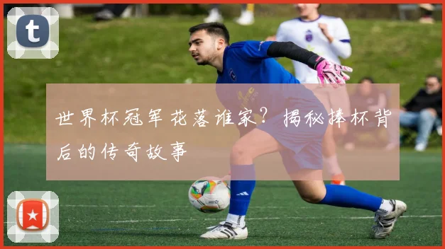世界杯冠军花落谁家？揭秘捧杯背后的传奇故事