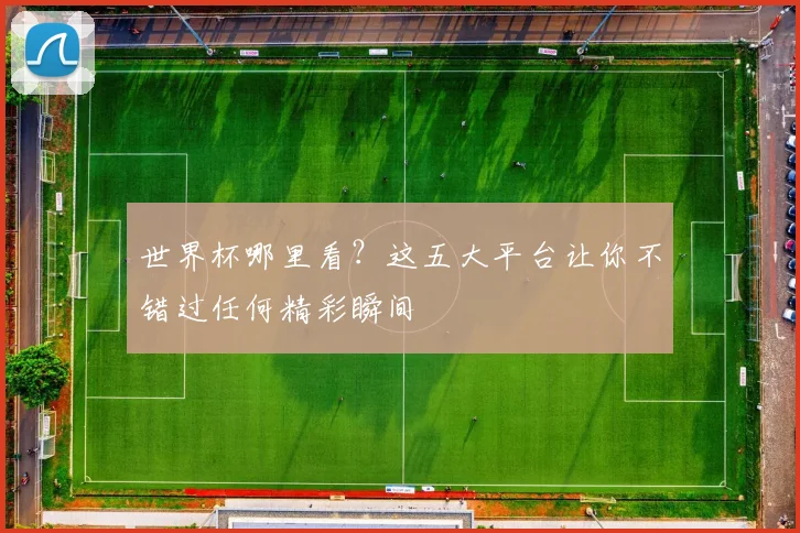 世界杯哪里看？这五大平台让你不错过任何精彩瞬间
