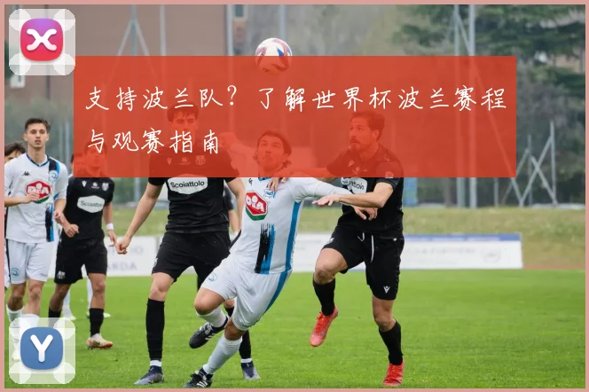 支持波兰队？了解世界杯波兰赛程与观赛指南