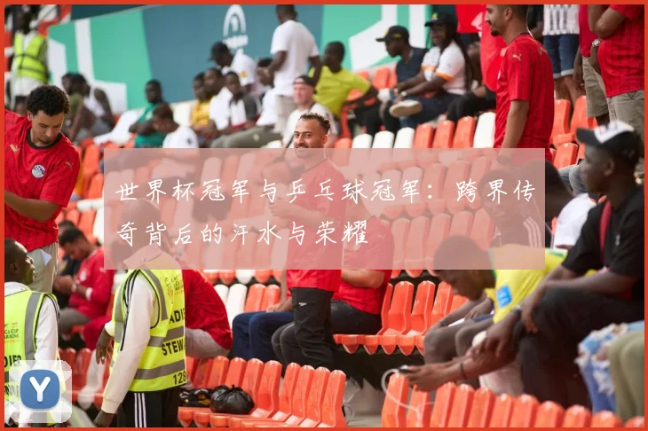 世界杯冠军与乒乓球冠军:跨界传奇背后的汗水与荣耀