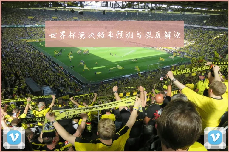 世界杯场次赔率预测与深度解读