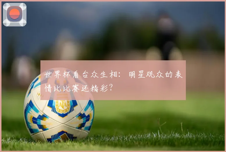 世界杯看台众生相：明星观众的表情比比赛还精彩？