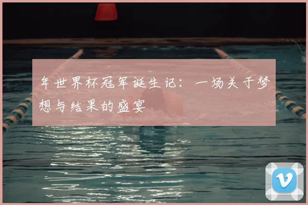 年世界杯冠军诞生记：一场关于梦想与结果的盛宴