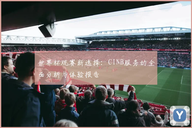 世界杯观赛新选择：CINB服务的全面分析与体验报告